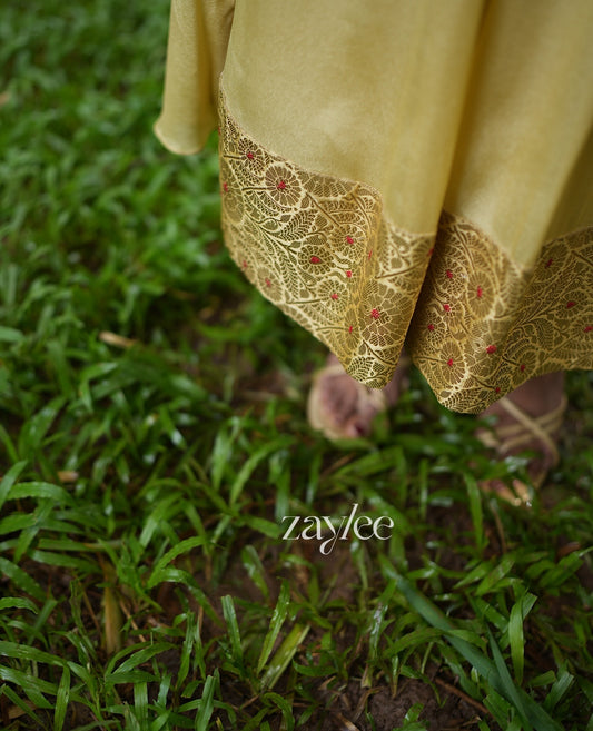 Golden Brocade Border Kurta
